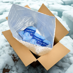 Wkład chłodzący + torba termiczna wielokrotnego użytku